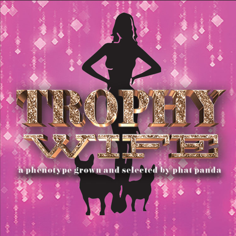 Trophy Wife